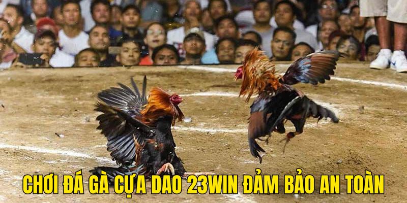 Đặt cược cựa dao an toàn tuyệt đối tại nhà cái