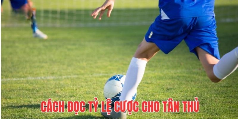 Cách đọc kèo bóng cá cược hấp dẫn nhất tại hệ thống